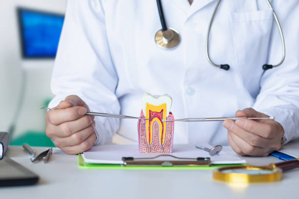 Best Emergency Dental Care for Trauma or Injury in Sparta, MI